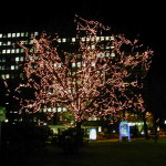 Vodafone Düsseldorf