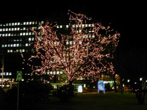 Vodafone Düsseldorf